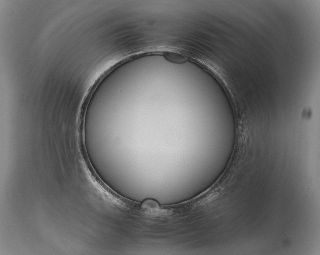X0000115341135200911161826