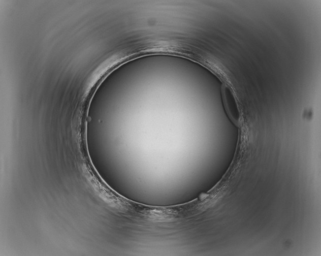 X0000115341138200911161826