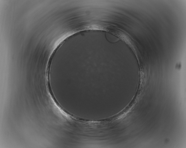 X0000115341141200911161826