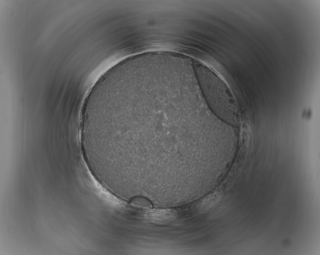 X0000115341143200911161826