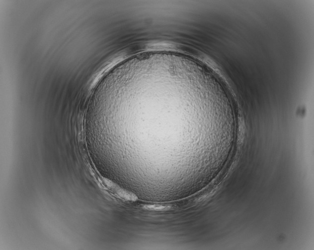 X0000115341145200911161826