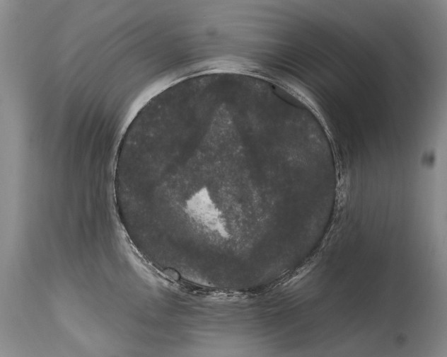 X0000115341146200911161826