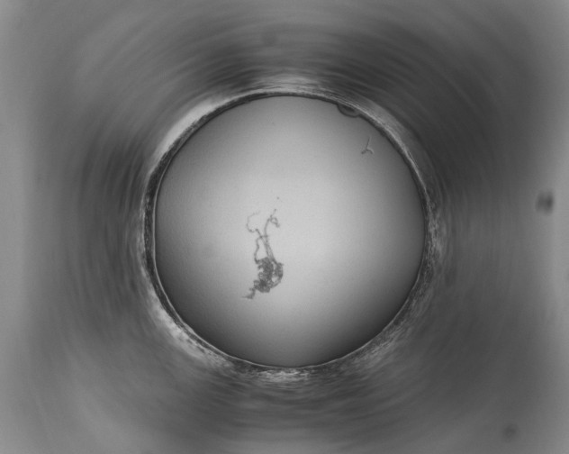 X0000115341147200911161826