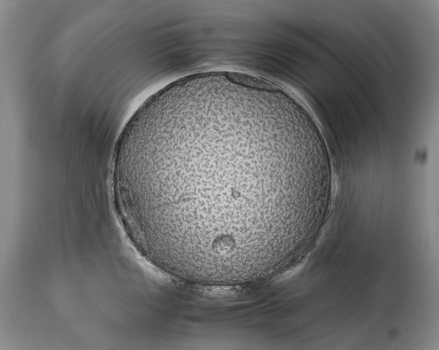 X0000115341149200911161826