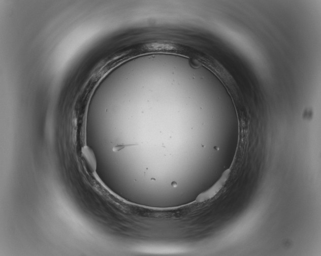 X0000115341151200911161826