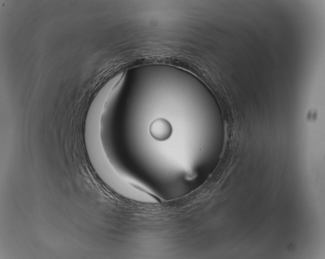 X0000115341153200911161825
