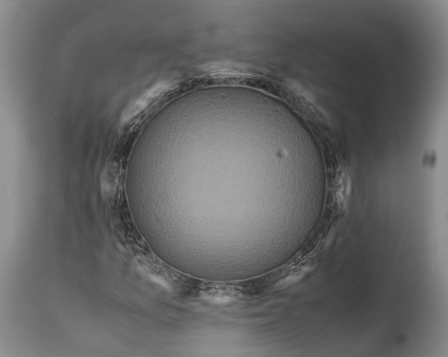 X0000115341157200911161825