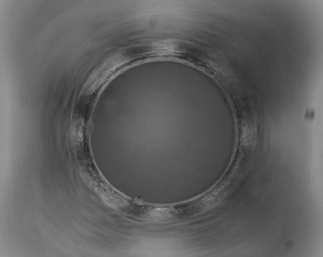 X0000115341161200911161825