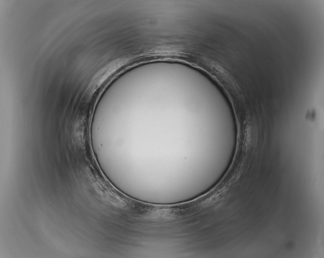 X0000115341162200911161825