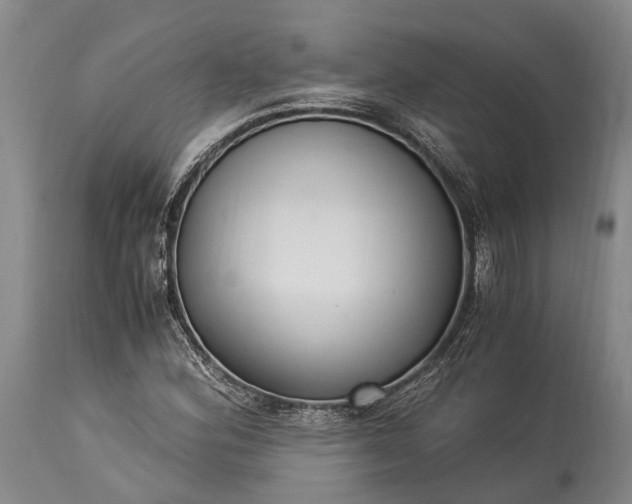 X0000115341164200911161825