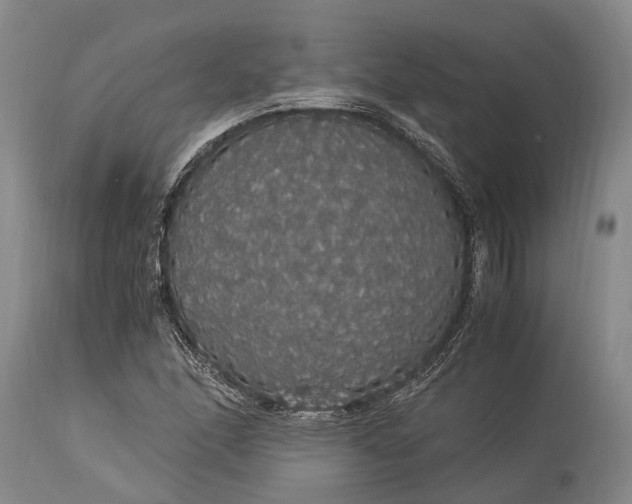 X0000115341166200911161825