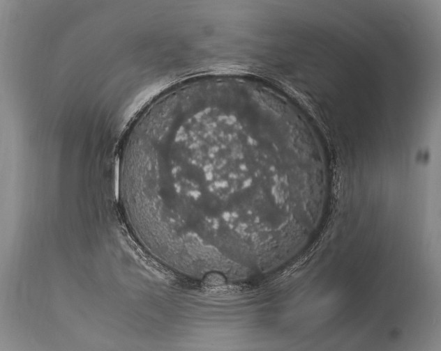 X0000115341171200911161825