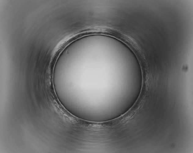 X0000115341172200911161825