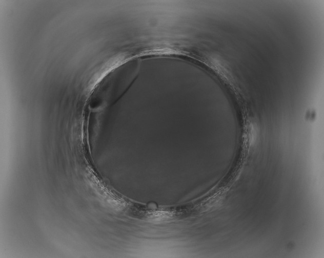X0000115341173200911161825