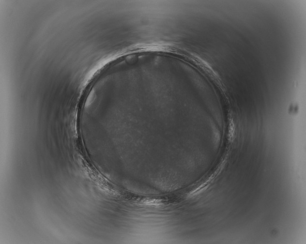 X0000115341174200911161825