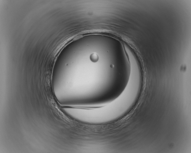X0000115341177200911161825