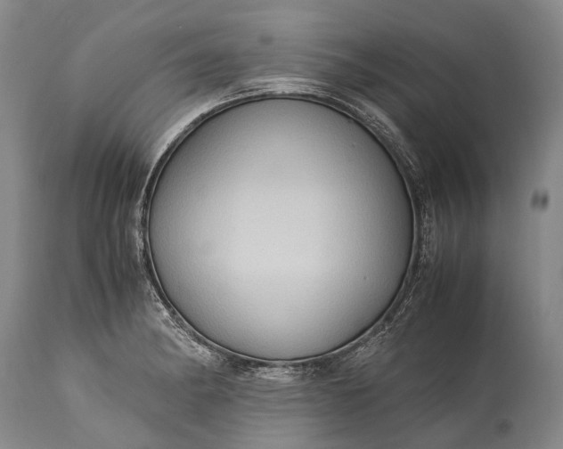 X0000115341182200911161825
