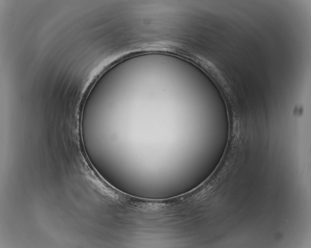 X0000115341184200911161825