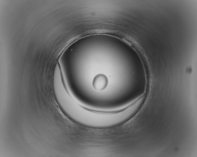 X0000115341185200911161825