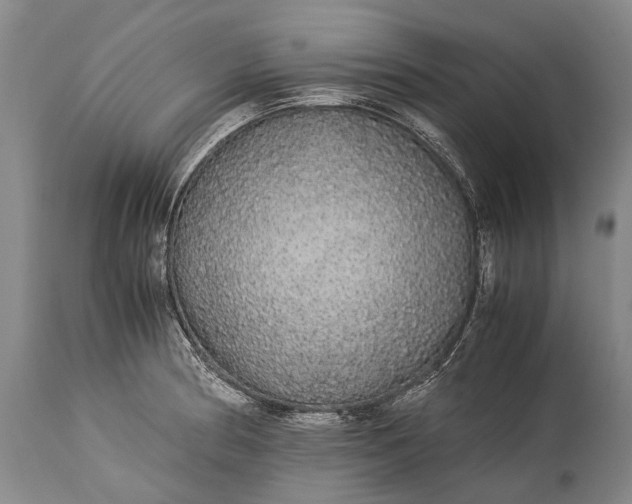 X0000115341186200911161825
