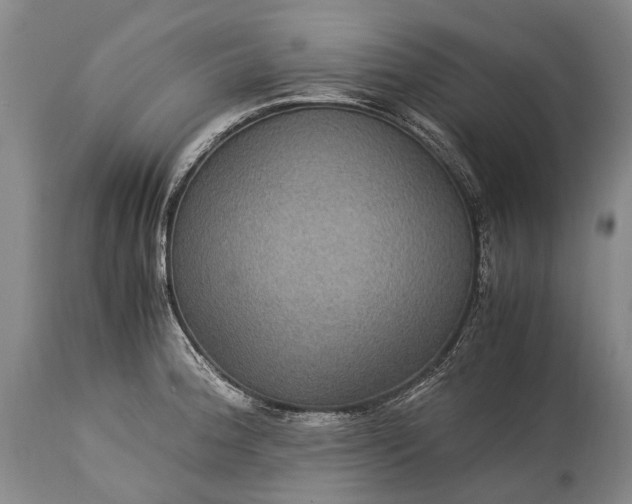 X0000115341188200911161825
