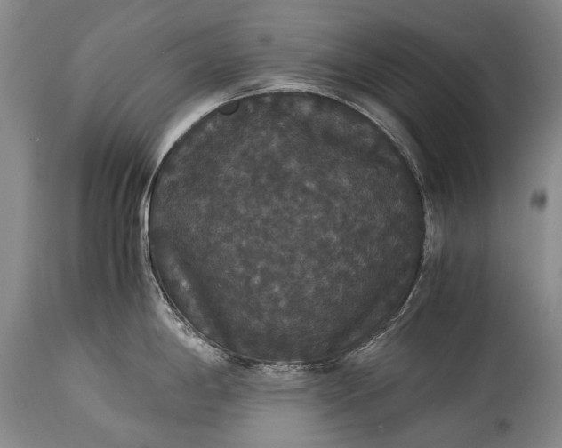 X0000115341198200911161825