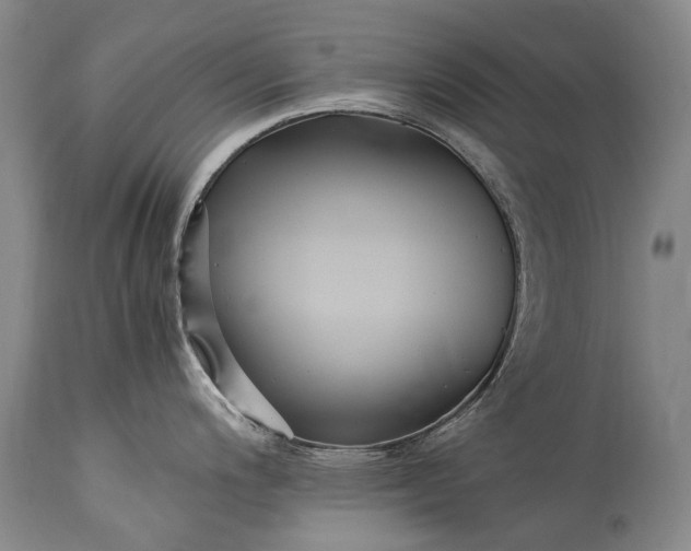 X0000115341200200911161824