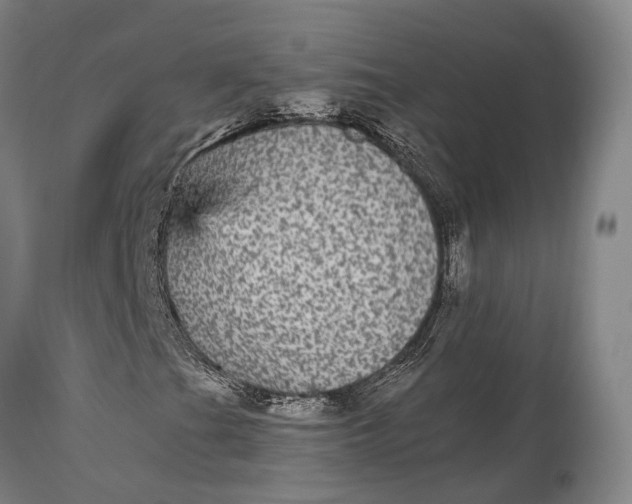X0000115341201200911161824