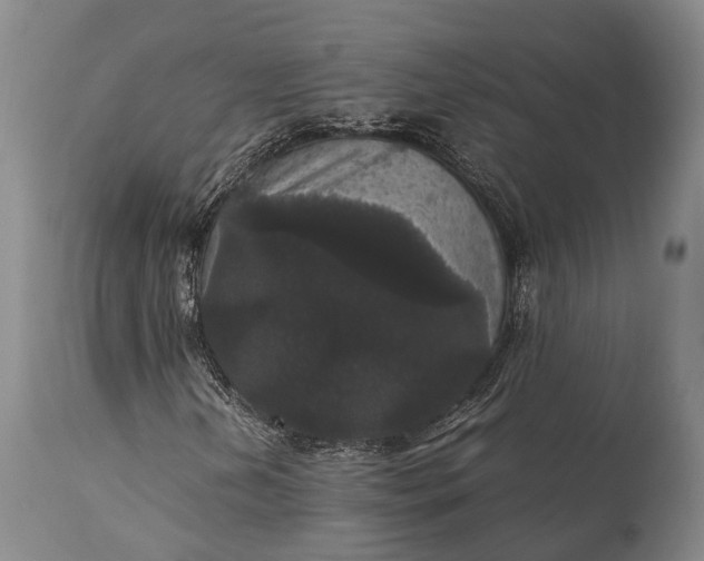 X0000115341202200911161824