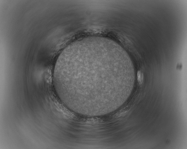 X0000115341203200911161824