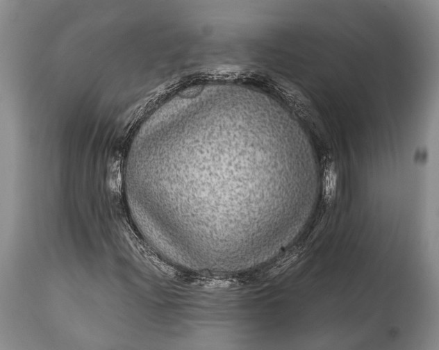 X0000115341204200911161824