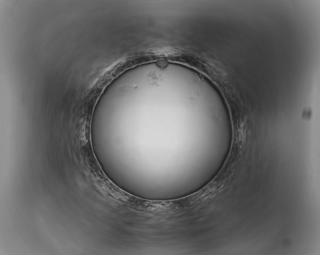 X0000115341205200911161824