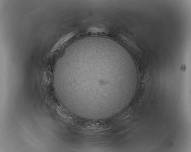 X0000115341207200911161824