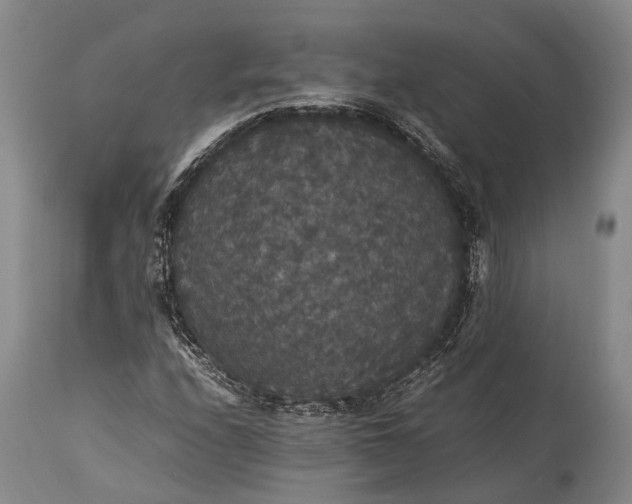 X0000115341208200911161824