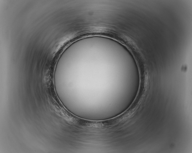 X0000115341210200911161824
