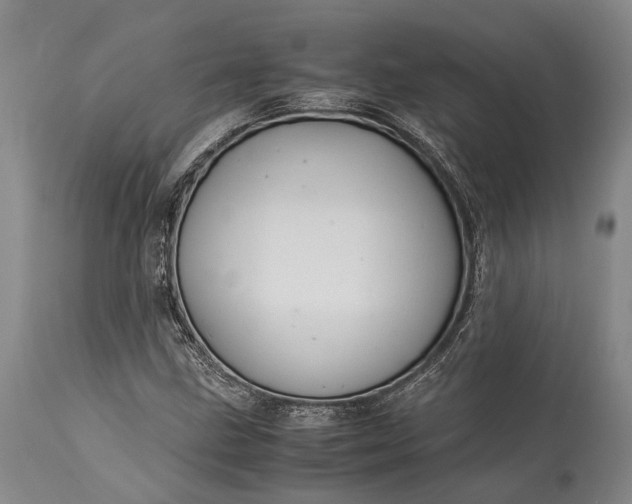 X0000115341211200911161824