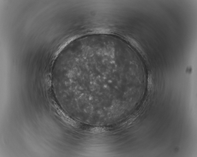 X0000115341212200911161824