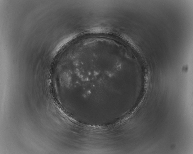 X0000115341213200911161824