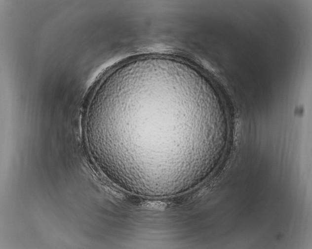 X0000115341214200911161824