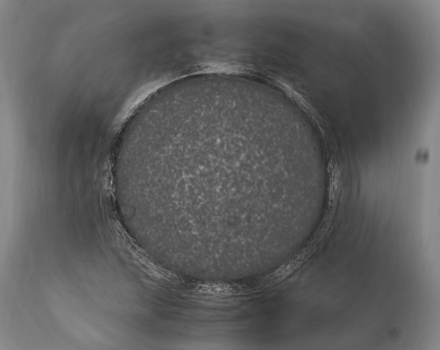 X0000115341215200911161824