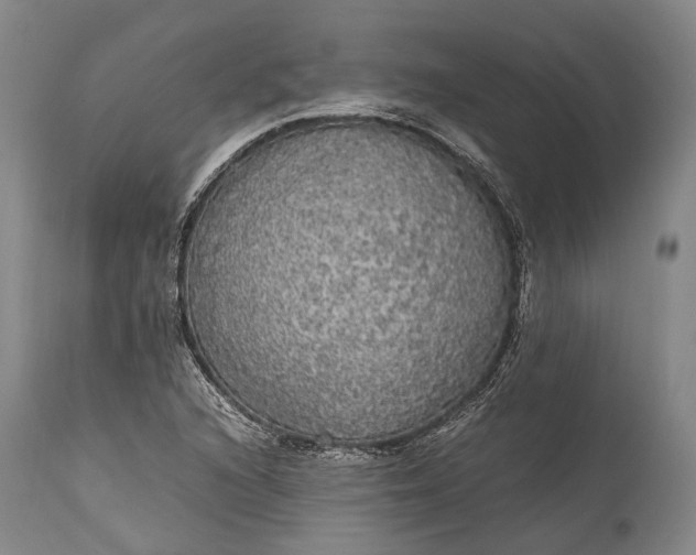 X0000115341216200911161824