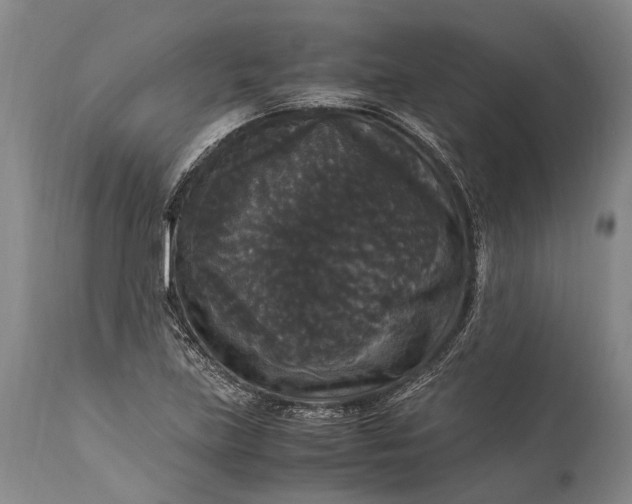 X0000115341219200911161824