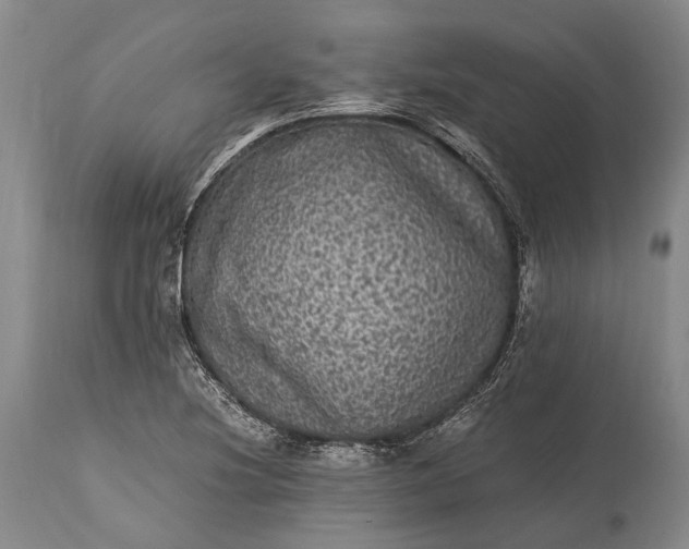 X0000115341220200911161824