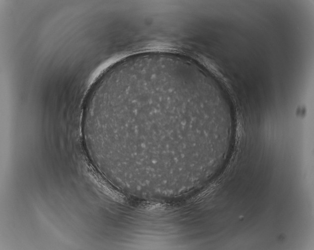 X0000115341222200911161824