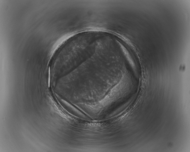 X0000115341223200911161824