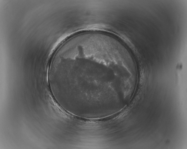 X0000115341224200911161824