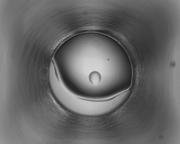 X0000115341225200911161824