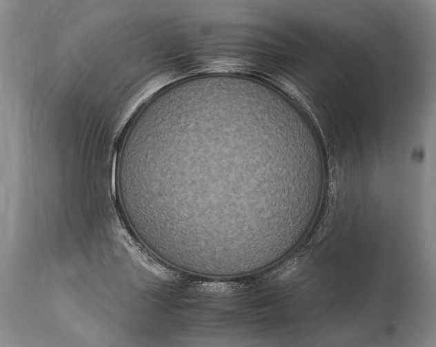 X0000115341227200911161824