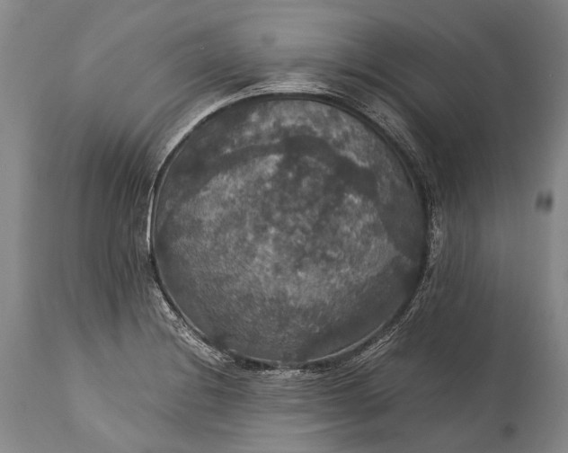 X0000115341228200911161824