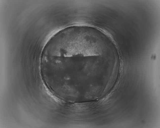 X0000115341231200911161824